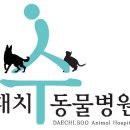대치수동물병원 이미지