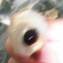 재미있는 중국어 이미지