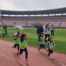 주경기장 잔디구장 이미지