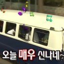 여름. 제주 이미지