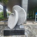 순천만 그리고 나 티스토리