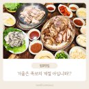 수유 왕족발 보쌈 | 수유족발맛집 할머니왕족발보쌈 에서 굴보쌈 배터지게 먹고왔어요!