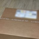 루에다 | 아포아 (APOA) 루에다 미니백 (Rueda Mini Bag Brown) 후기