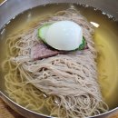 강릉 평양냉면 맛집 주차 솔직후기 | 뚱보냉면