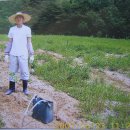 요정농장 이미지