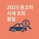 만도카광택 | 2025 중고차 시세 조회 꿀팁 총정리-모델·연식·주행거리별 실거래가 바로 확인하는 법