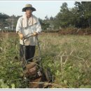 엄나무골농장 이미지