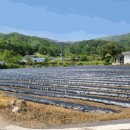 사곡리 다목적회관 이미지