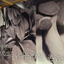 촌놈집삼덕공원점 이미지