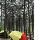 산음캠핑 이미지