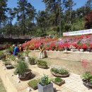 우리꽃식물원 이미지