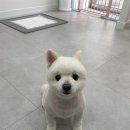 이뻐질개 이미지