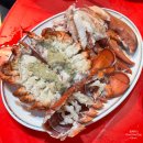 포차갈매기 | 부산 해운대 맛집 랍스타포차 해산물 랍스터 코스 갈매기3호