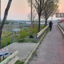 대곡농로 이미지