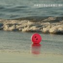 의료법인 청송의료재단 이미지