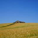 보리목장2 이미지