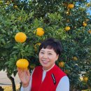 삼배목장 이미지