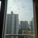 중앙유리페인트