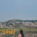 중리천로113번길 이미지