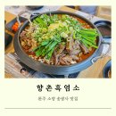 전주 근교 완주 맛집 송광사 근처 향촌흑염소