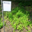 섭이네 농장 이미지