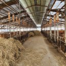 논산목장 이미지