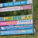 이끌림결혼정보