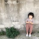 베이지 글라스