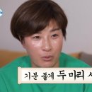 푸라닭대전 이미지