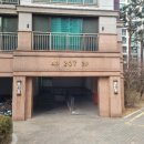 중앙동207 이미지