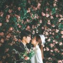 아우라스튜디오 이미지