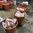 원조언양옛날곰탕 | 울산 울주군 언양 원조옛날곰탕 / 언양시장 소머리곰탕🍗