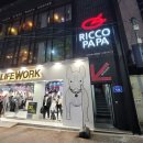 리코파파 원평점 이미지