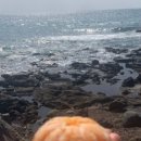 구두미바당