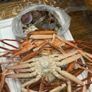 낙원수산 | 매천시장대게 홍게저렴한곳 대구 준이수산