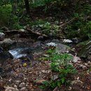 백봉고안 이미지