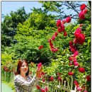 리스테이트 이미지