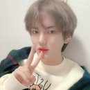 오늘도 댕댕이 이미지