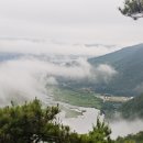 금산-영동 갈영부자천 환종주(28Km) 이미지