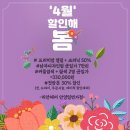 다홍헤어 이미지