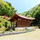 백운산등산로(묵계암) 티스토리