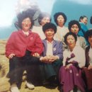 장흥댁
