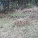 산성리마을회관 이미지