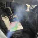 호디테일링 - 화성시 왕배산1길 11 | 🚗✨ 자동세차만 하던 내 차, 첫 스팀 손세차 후기! 유막 제거 & 유리막 코팅까지✨🚗