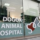 강남종합동물병원 이미지