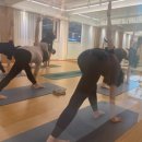 요가 오후반 이미지