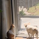 역전할머니맥주 강진점 이미지