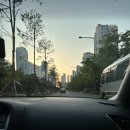 임신일기 #5 38주 출산 | 세종 트리니움 여성병원 | 1인실 후기