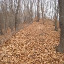 삼풍목장 이미지