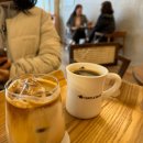 터틀빈 이미지